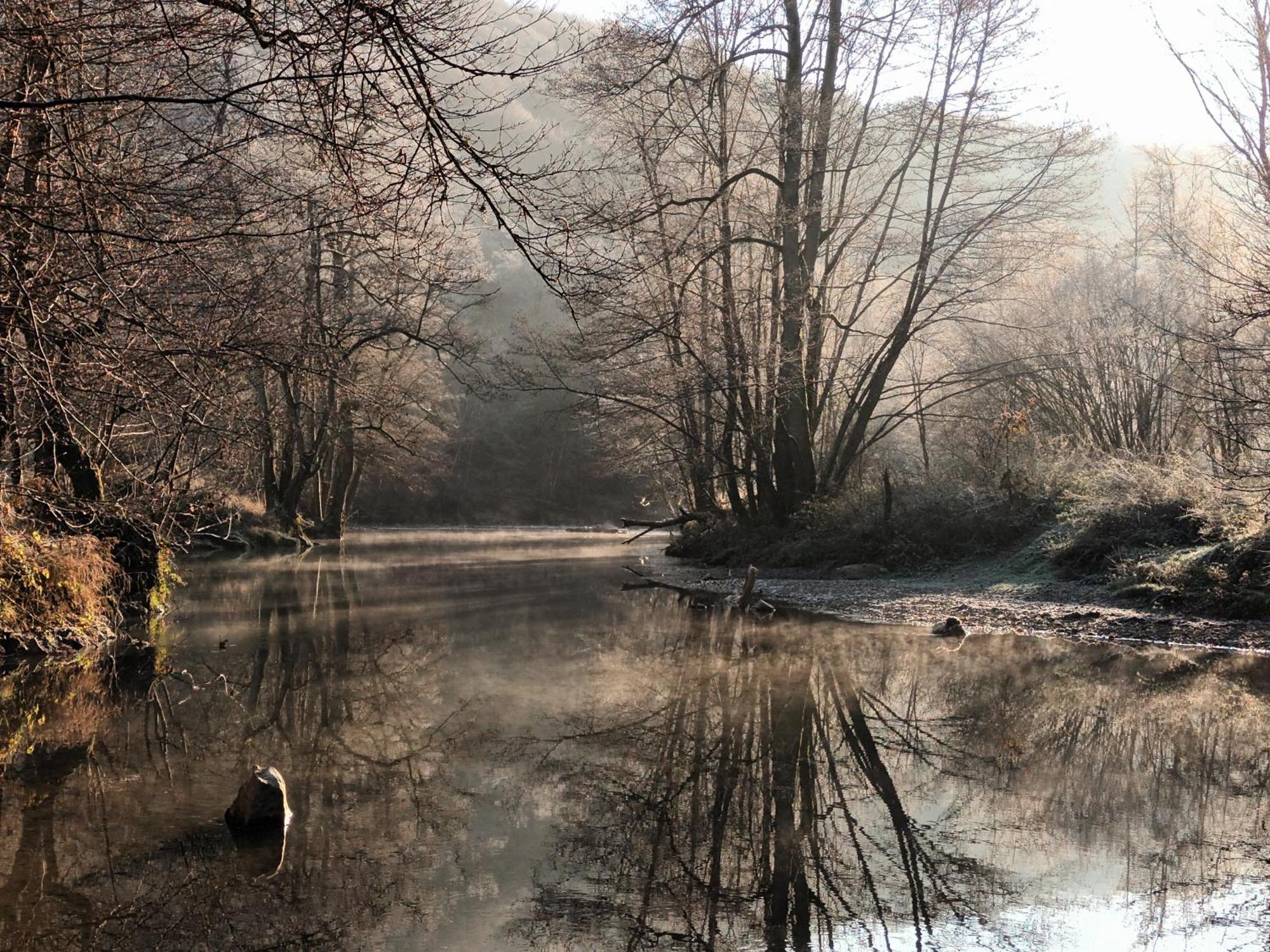 Les Gabelous - Chambre D'Hotes - Viroinval Dourbes Dış mekan fotoğraf