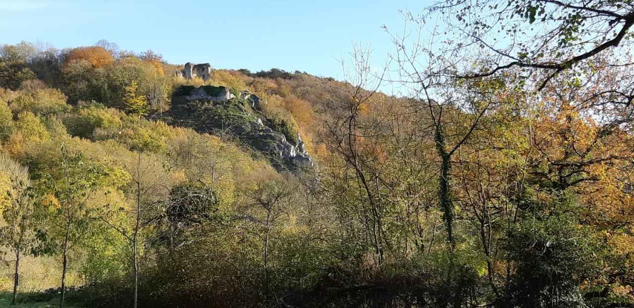 Les Gabelous - Chambre D'Hotes - Viroinval Dourbes Dış mekan fotoğraf